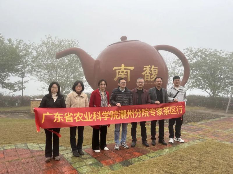 关于广东省农科专家服务茶产业高质量发展活动在潮安区凤凰镇举的资讯(4)