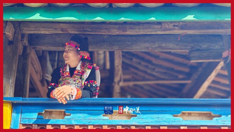 关于全国人大代表杨春兰让好茶从边陲村落，走到人民大会堂的资讯