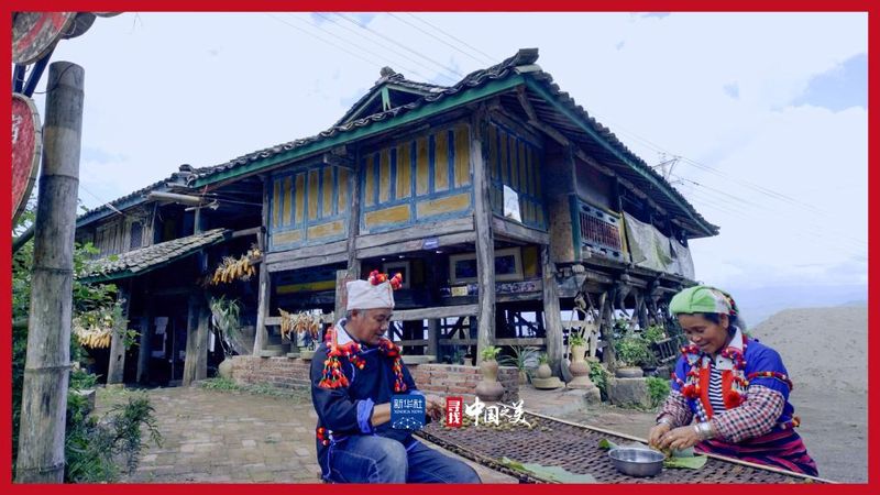 关于全国人大代表杨春兰让好茶从边陲村落，走到人民大会堂的资讯(2)