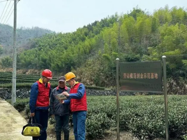 有关于临安区第一批春茶上新 电力助力茶农炒出“迎春好茶”的资讯(2)