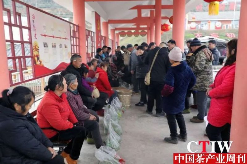 关于四川丹棱：大山里的小茶市又热闹起来了的内容