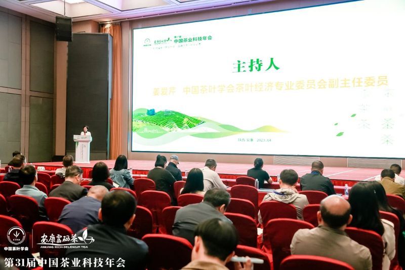 有关于茶行业2023年分析研究报告汇总的相关内容(12)