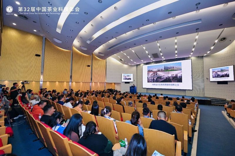 有关于茶行业2023年分析研究报告汇总的相关内容(4)