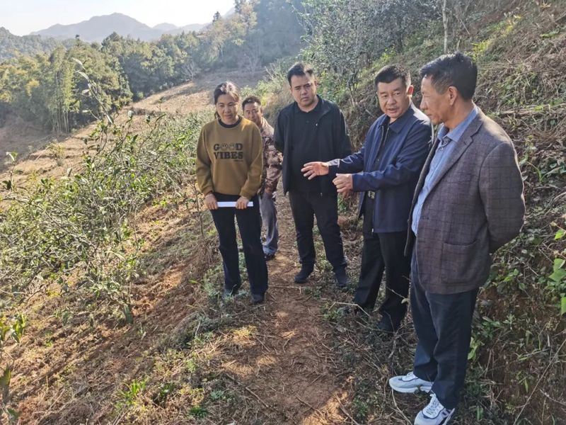 有关于镇康县政协副主席查康院坝协商会前调勐捧流水村茶产业发展及茶叶品质提升工作的最新消息