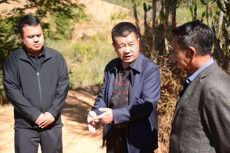 有关于镇康县政协副主席查康院坝协商会前调勐捧流水村茶产业发展及茶叶品质提升工作的最新消息(3)