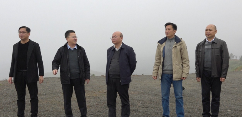 有关于副市长李广勇到蒙山县调研茶园建设情况的最新消息