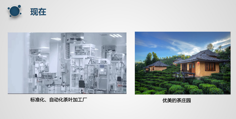 关于2023中国茶叶出口量价齐跌后，会触底反弹吗？的消息(6)