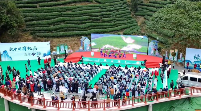 关于“2024广西春茶暨昭平有机茶开采系列活动”正式启动的最新消息