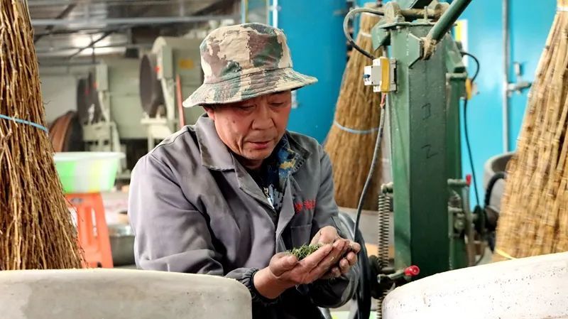 有关于高县复兴镇春日赛黄金 茶企生产忙的消息(1)