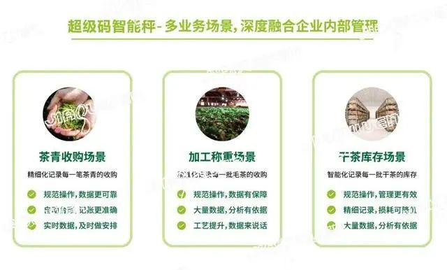 关于茶产业大脑“新昌模式”：奠定茶产业数字化高质量发展基石的消息(2)