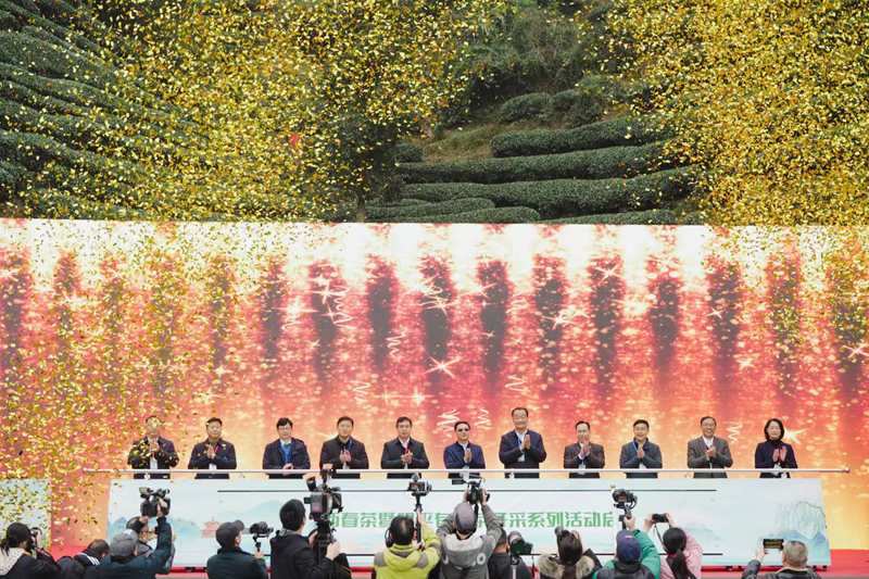 有关于壮乡春来早，桂茶香天下。2024广西春茶暨昭平有机茶开采系列活动正式启动！的相关内容