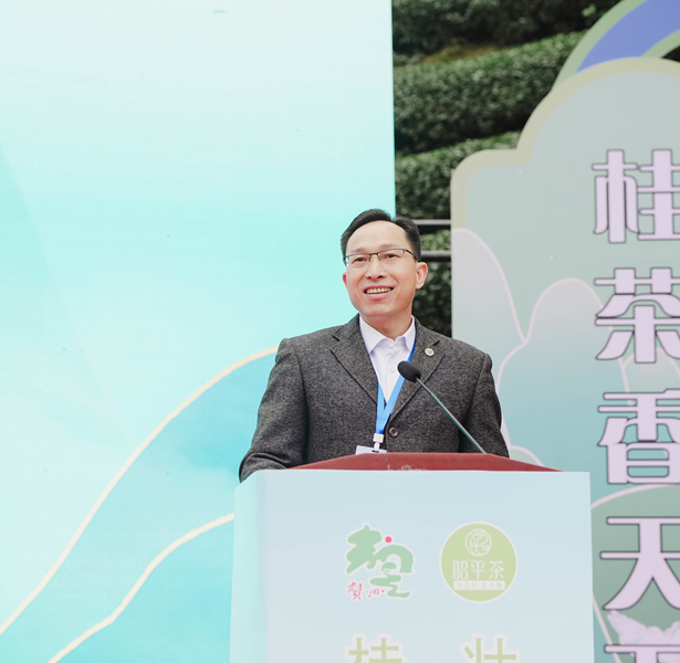 有关于壮乡春来早，桂茶香天下。2024广西春茶暨昭平有机茶开采系列活动正式启动！的相关内容(3)