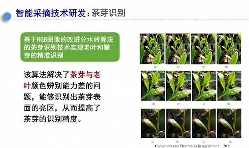 有关于茶行业2023年热点资讯事件汇总（下）的消息(1)