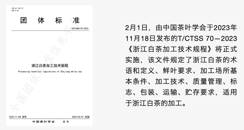 关于今日实施！T/CTSS 70-2023 浙江白茶加工技术规程的相关信息