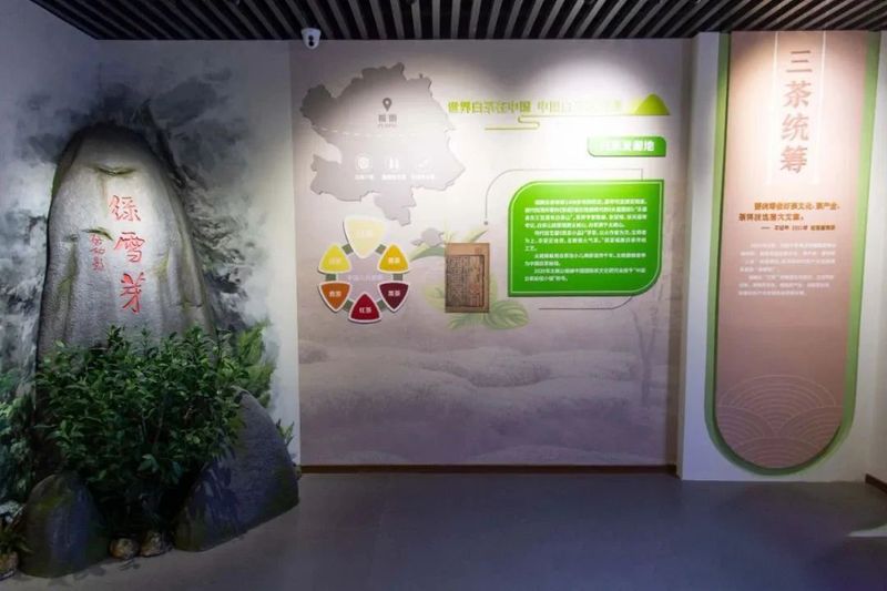 关于这里含茶量100%的相关内容(5)