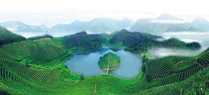 关于40万字描绘中国茶品牌图景！《中国茶叶品牌发展报告（2024）》助力茶品牌升级的资讯