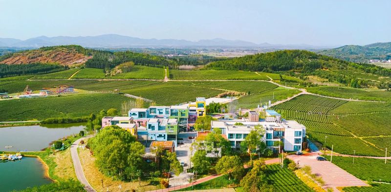 有关于“一带一路”典型案例④赤壁：“一带一路”东风火了青砖茶的消息