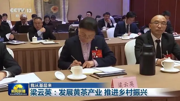 关于大别山的茶产业如何破圈创新？村支书梁云英提出了新建议的相关信息(1)