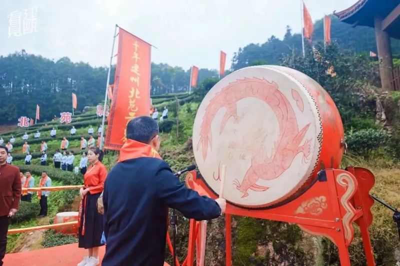 关于建瓯、福安两地喊山祭茶唤醒大地新生的内容(2)