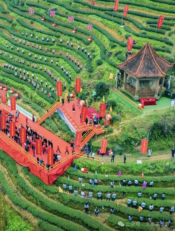 关于建瓯、福安两地喊山祭茶唤醒大地新生的内容