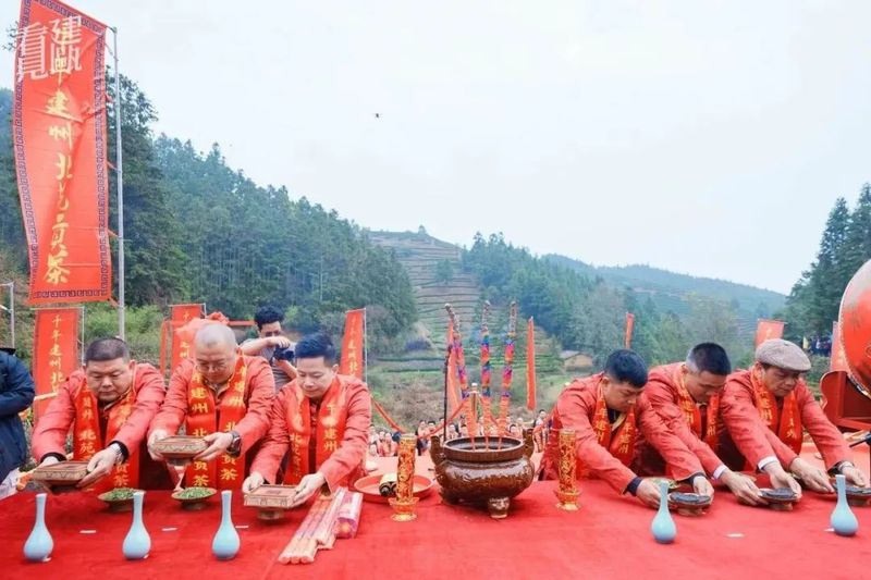 关于建瓯、福安两地喊山祭茶唤醒大地新生的内容(3)