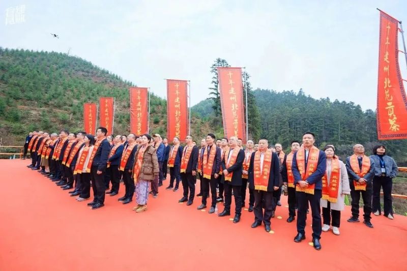 关于建瓯、福安两地喊山祭茶唤醒大地新生的内容(5)