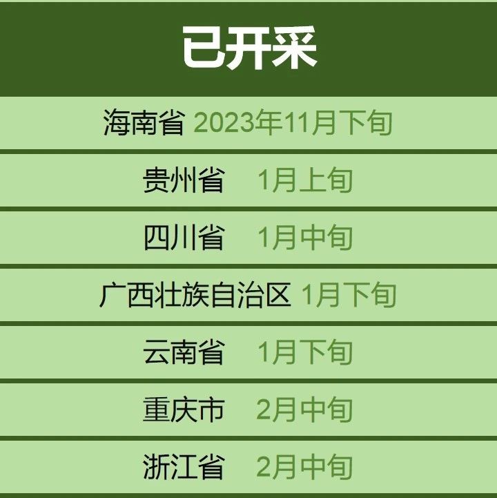 关于春茶采摘时间表出炉！春茶采制需做好哪些准备工作？的消息(1)