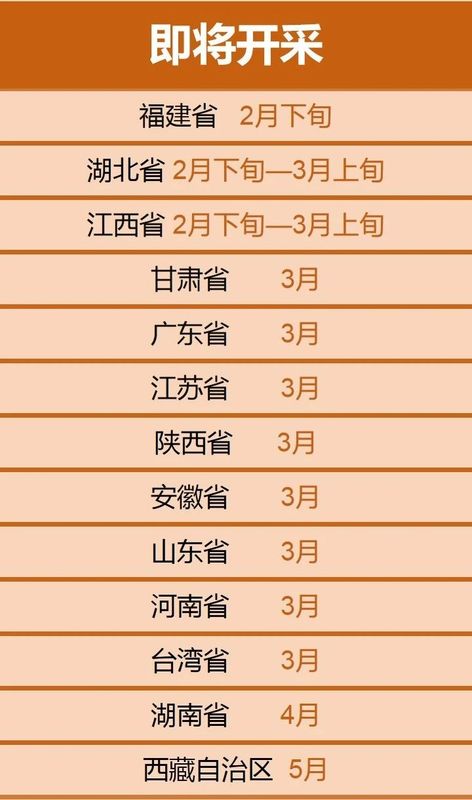 关于春茶采摘时间表出炉！春茶采制需做好哪些准备工作？的消息(2)