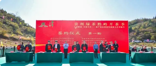 关于2024贵州绿茶“黔岭开茶季”在关岭自治县举行的资讯(3)