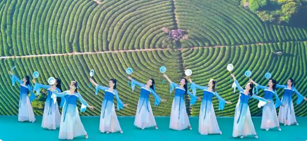 关于2024贵州绿茶“黔岭开茶季”在关岭自治县举行的资讯(2)