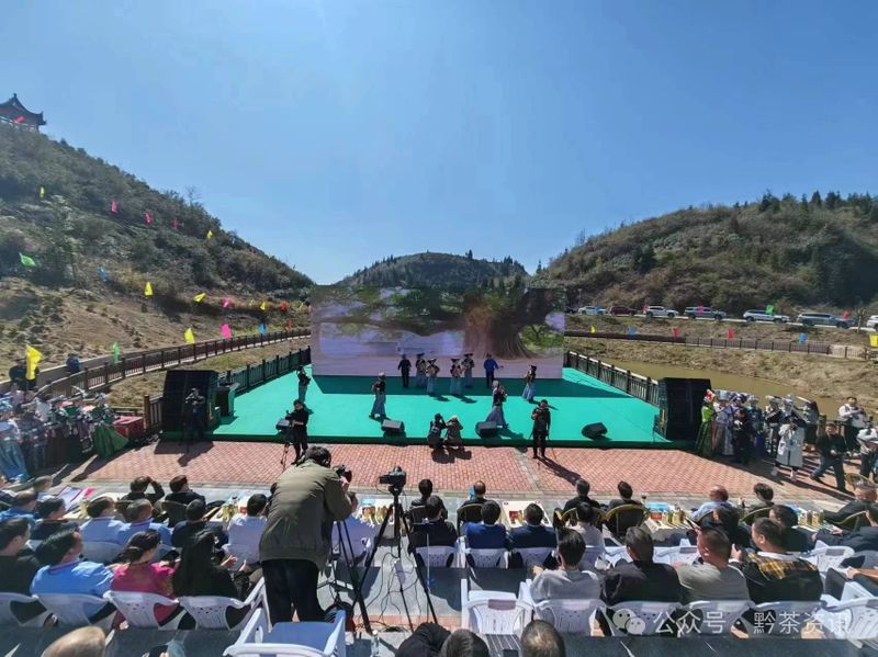 有关于茶山醒了 ，上春山，采春茶的相关内容(4)