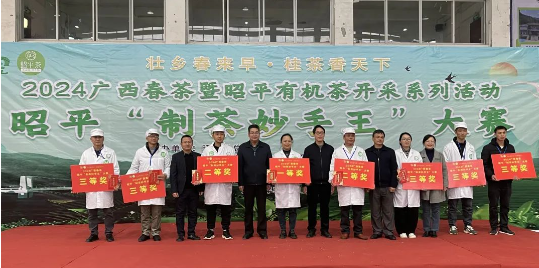 关于2024广西春茶暨昭平有机茶开采系列活动之“制茶妙手王”大赛的新闻(4)