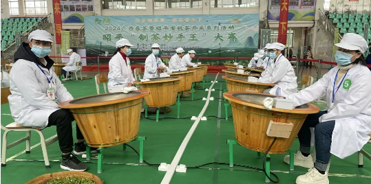 关于2024广西春茶暨昭平有机茶开采系列活动之“制茶妙手王”大赛的新闻(1)