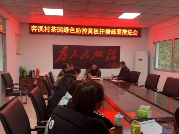 关于徽州区呈坎镇:古镇茶园遇黄板 茶香溢园守翠景的新闻