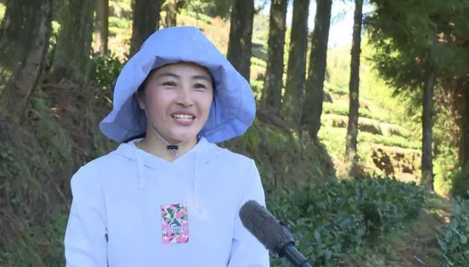 关于盘州：春日春山采春茶的资讯(2)