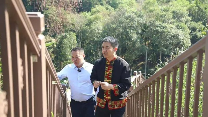 关于全国人大代表林豪：走好一片雨林大叶茶的“生态产业化”之路的内容(1)