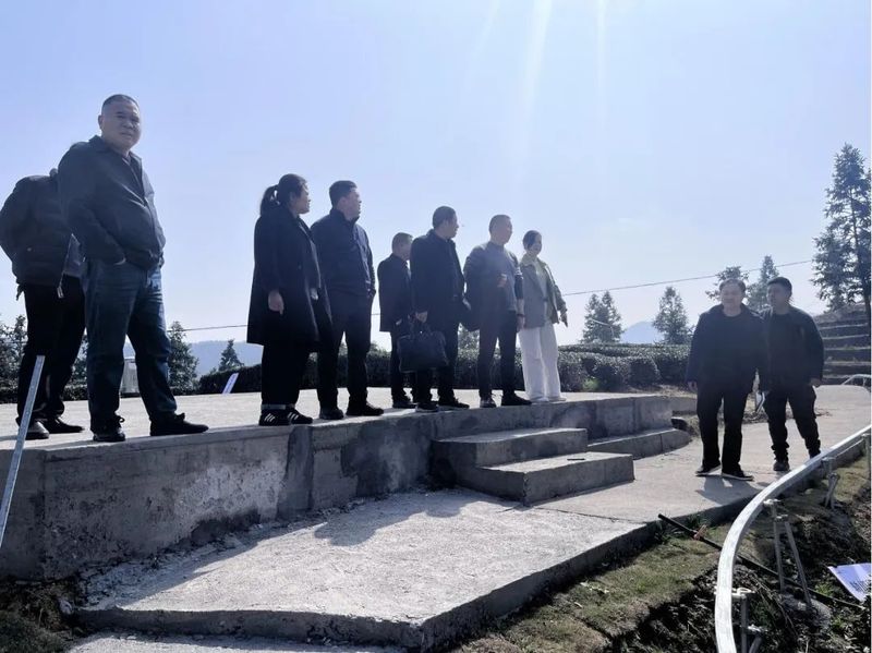 关于丽新乡:春耕备耕时 人大代表共谋茶产业发展的最新消息(2)