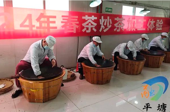 关于品平塘甲茶·观中国天眼—“贵州春茶第一壶”开采的消息(2)