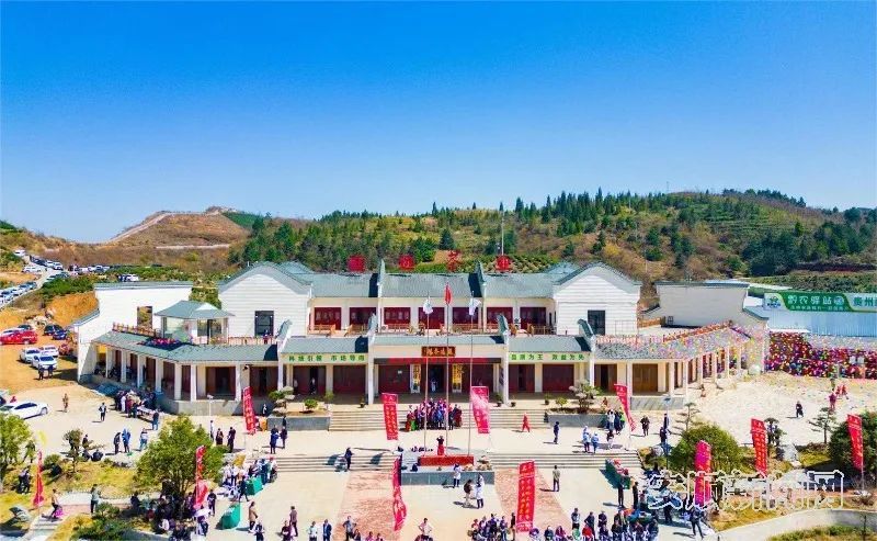 关于安顺市2024贵州绿茶黔岭开茶季活动举行的相关内容