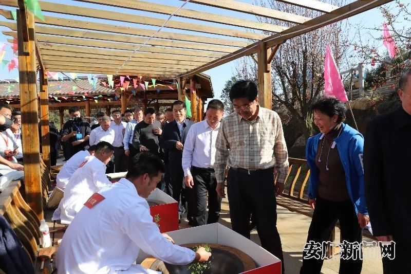 关于安顺市2024贵州绿茶黔岭开茶季活动举行的相关内容(2)