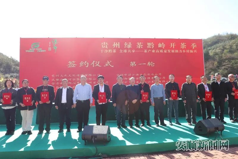 关于安顺市2024贵州绿茶黔岭开茶季活动举行的相关内容(4)