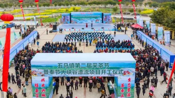 关于奉节县五马镇:春茶采摘正当时 “茶旅融合”促振兴的最新消息(1)