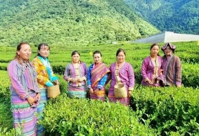 有关于全国人大代表罗布央宗：因地制宜发展西藏茶乡旅游的消息(1)