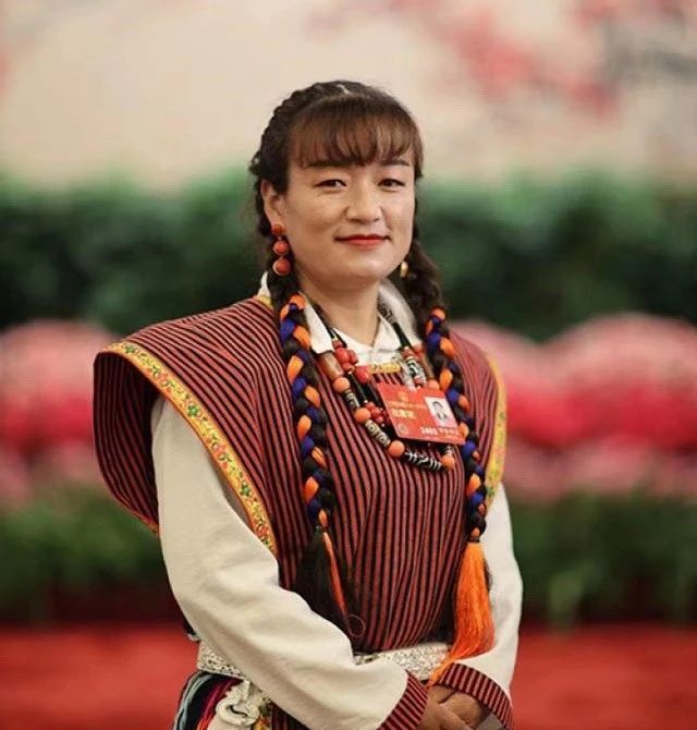 有关于全国人大代表罗布央宗：因地制宜发展西藏茶乡旅游的消息