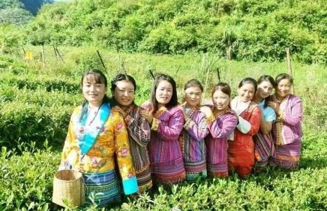 有关于全国人大代表罗布央宗：因地制宜发展西藏茶乡旅游的消息(2)