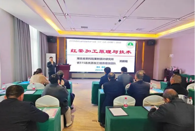 关于国家、省级“茶专家”齐聚咸宁 为春茶生产提供科技助力的相关内容(1)