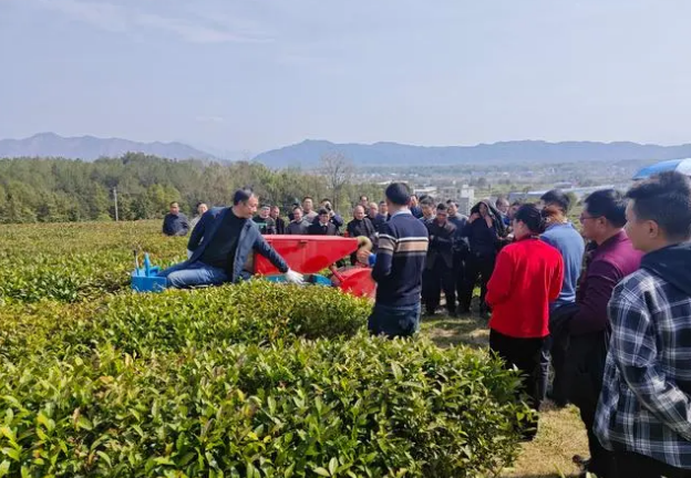 关于国家、省级“茶专家”齐聚咸宁 为春茶生产提供科技助力的相关内容