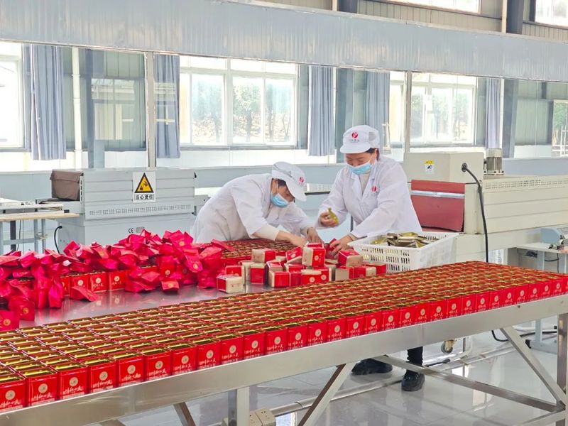 有关于宜宾早茶产销会 探访高县茶企的相关信息(2)