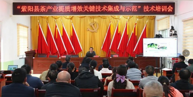 关于安康紫阳：专家送技下乡助力茶产业发展的新闻