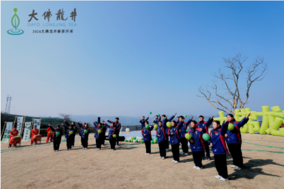 关于2024年浙江新昌大佛龙井新茶抢“鲜”开采的资讯(4)